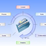 Quelle différence entre Case Management et BPM ?