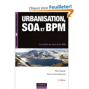 Urbanisation, SOA et BPM, le point de vue d'un DSI